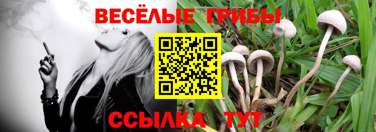 Мелеуз  Галлюциногенные грибы Magic Shrooms  Вход с VPN 