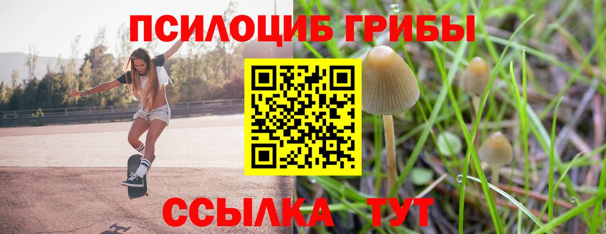 Галлюциногенные грибы прущие грибы Мелеуз
